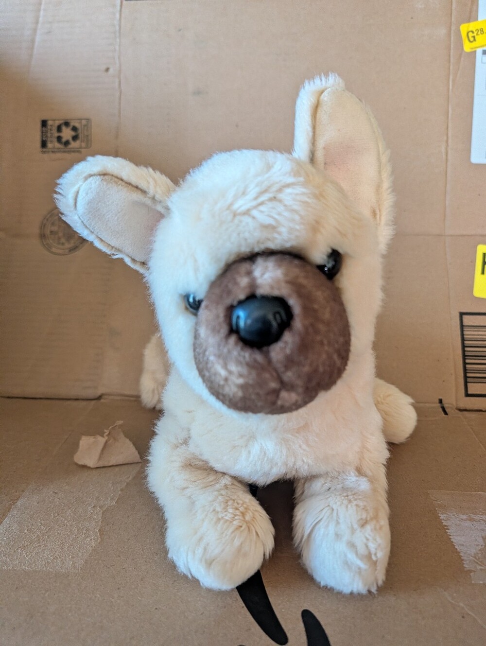 Douglas Napoleon French Bulldog Plush Stuffed Animal Dog 10" Great Condition